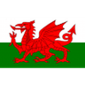 Logo Wales U19