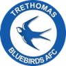 Logo Trethomas Bluebirds