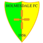 Logo Holmesdale