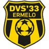 Logo DVS 33 Ermelo