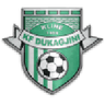 Logo Dukagjini