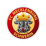 Logo Mecklenburg Schwerin