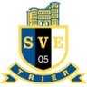 Logo Eintracht Trier