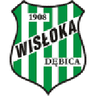 Logo Wisłoka Dębica