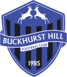 Logo Buckhurst Hill