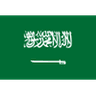Logo Saudi Arabia