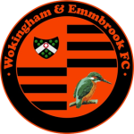 Logo Wokingham Town