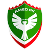 Logo Amed
