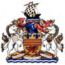 Logo Barry Town