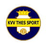Logo Thes Sport
