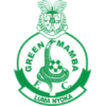 Logo Green Mamba