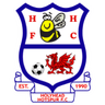 Logo Holyhead Hotspur