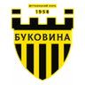 Logo Bukovyna