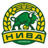 Logo Nyva Ternopil