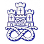 Logo Newcastle Town