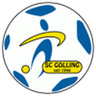Logo Golling