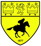 Logo Newmarket Town