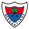 Logo Bergantiños