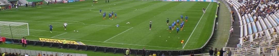 Stade de la Beaujoire - Louis Fonteneau