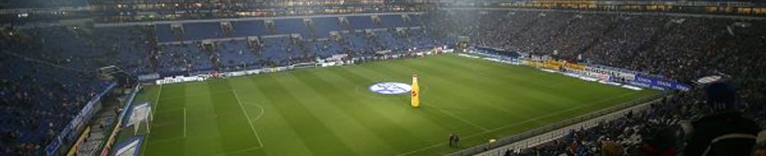 VELTINS-Arena