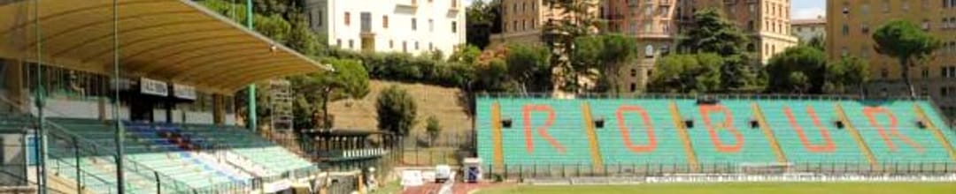 Stadio Comunale Artemio Franchi - Montepaschi Arena