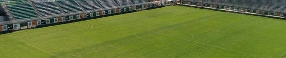Stadio Pierluigi Penzo